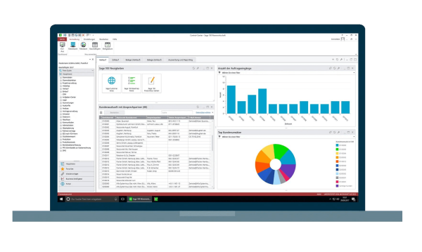 ERP Software Sage 100